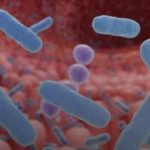  estudo revela transformação surpreendente de células intestinais